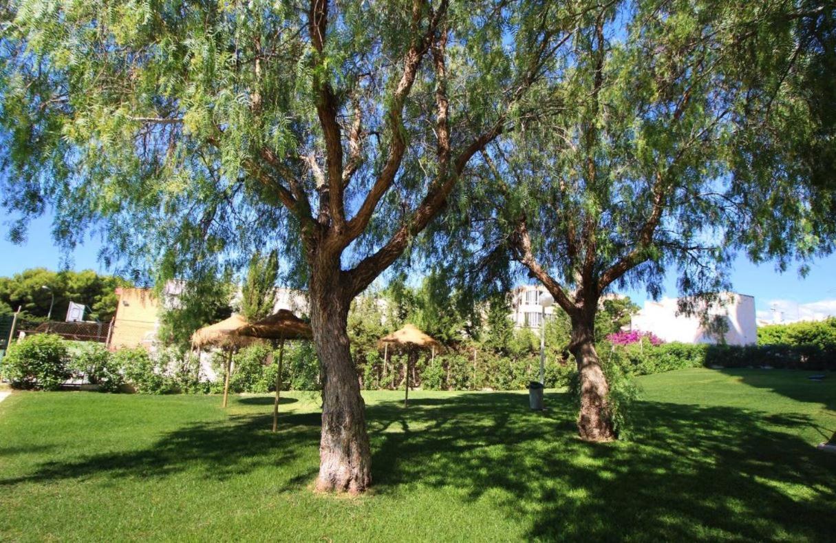 Sweetwater Home - Apartamento Ideal Para Tus Vacaciones El Campillo del Moro Buitenkant foto